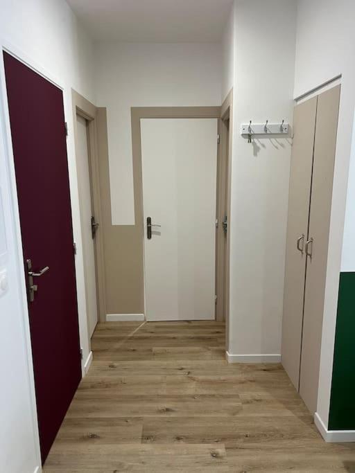 Le Chaleureux Luchonnais Apartment Bagnères-de-Luchon Exterior foto